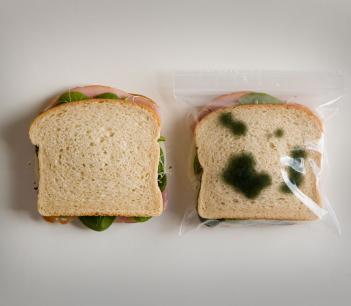 These Anti-Theft Lunch Bags Makes It Look Like Your Sandwich Is Moldy