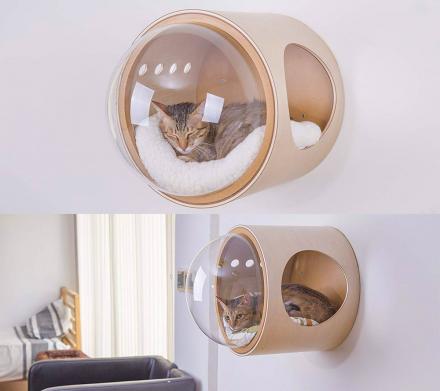 Your Cat Probably Needs This Wall-Mounted Bubble Window Bed