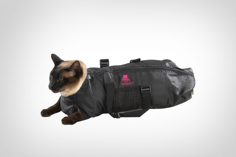 Cat Straight Jacket