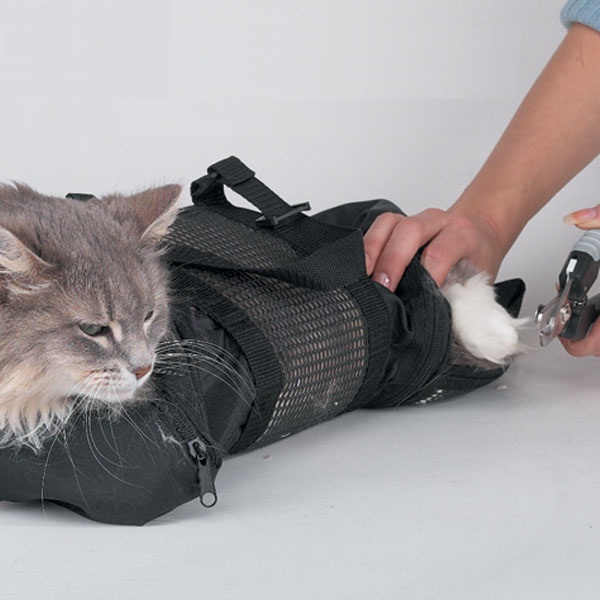Cat Straight Jacket and Muzzle