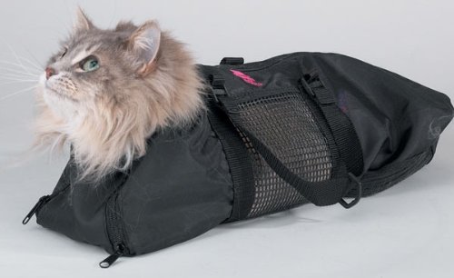 Cat Straight Jacket and Muzzle