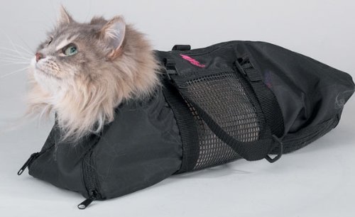 Cat Straight Jacket