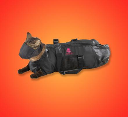 Cat Straight Jacket and Muzzle