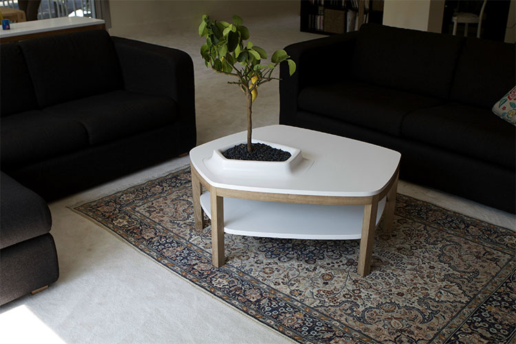 Volcane Feet Coffee Table With Planter