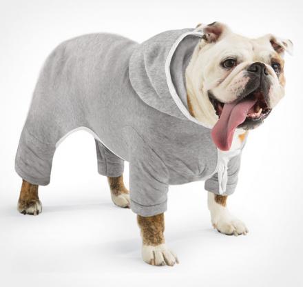 Dog Jogging Sweatsuit With Hoodie