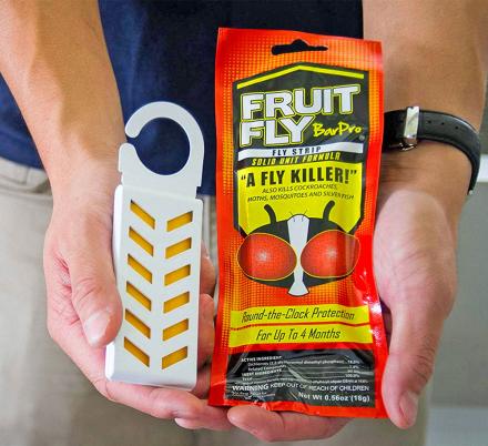 This Genius Fruit Fly Killer Eliminates All Flies and Bugs Within The Area In Seconds
