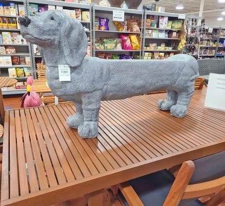 Every Dachshund Owner Probably Needs One Of These Wiener Dog Garden Benches