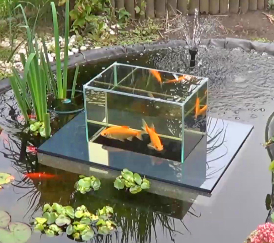 Floating Fish Koi Pond Observatory Lets You View Your Fish Above The