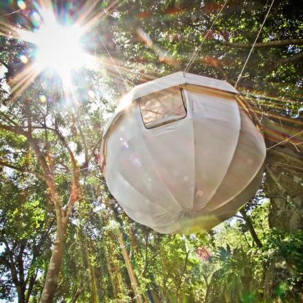 These Floating Tree Tent Domes Make For The Ultimate Backyard Camping Experience