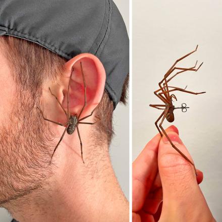 These Giant Spider Earrings Make For a Perfect Addition To Your Creepy Halloween Costume
