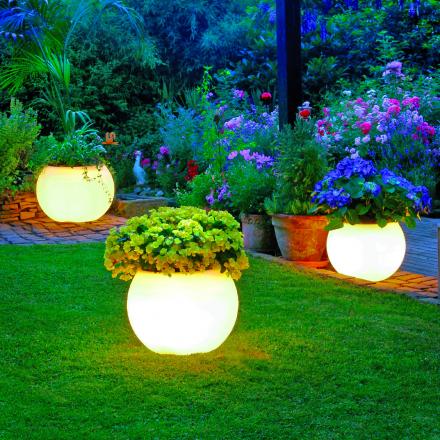 These Glow In the Dark Illuminated Planters Will Make Your Backyard Look Incredible