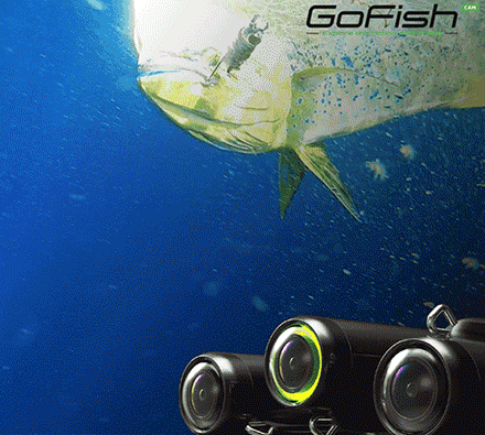 GoFish Cam: Fishing Camera That Attaches To End Of Fishing Line
