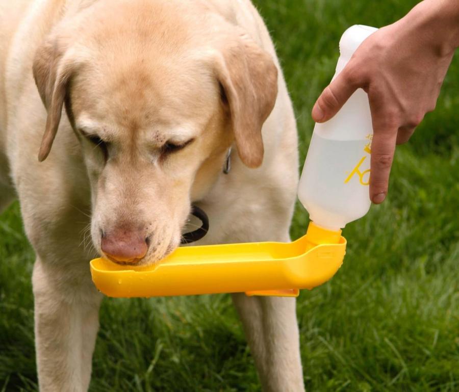 Gulpy A Travel Dog Water Bottle With a Retractable Bowl