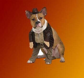 Indiana Jones Dog Costume