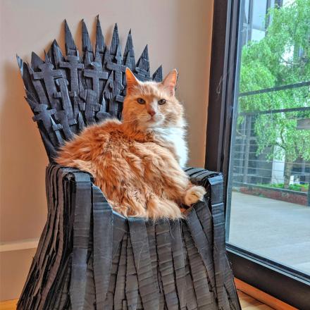This DIY Iron Throne Cat Bed Is a Must For Game Of Thrones Lovers