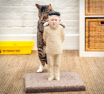 Kim Jong-Un Cat Scratching Post