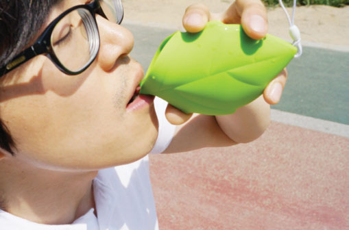 Leaf Shaped Silicone Pocket Cup 1