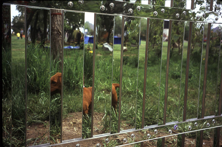 Mirrored Fence