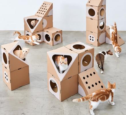 You Can Create The Ultimate Cat Playground With This Mix And Match Modular Collection