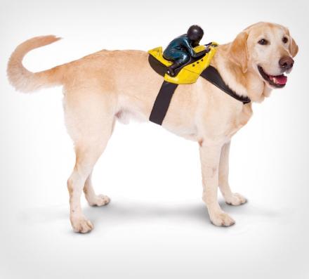 Motorcycle Rider Dog Costume Harness