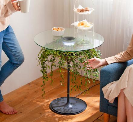 Oasis Table Displays A Hanging Plant Under A Glass Table-top