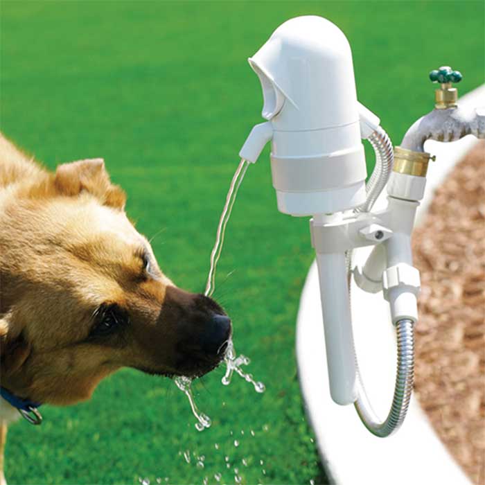 Outdoor Dog Water Drinking Fountain