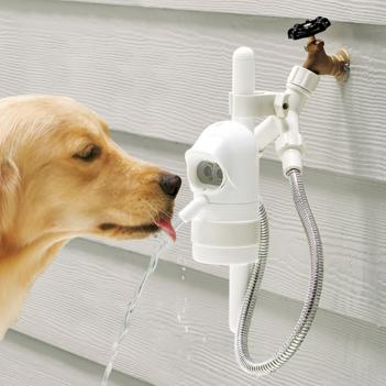 WaterDog: A Motion Sensing Outdoor Dog Water Fountain