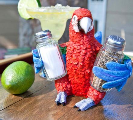 Parrot Holding Salt and Pepper Shaker Set