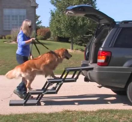 These Portable Pet Loader Stairs Help Small Or Elderly Dogs Into The Car