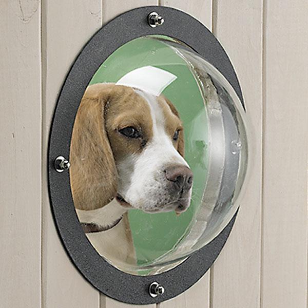 Pet Peek Fence Window For Dogs - bubble window for fences