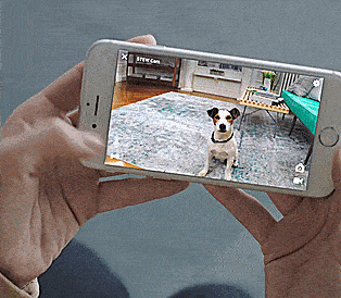 PetCube Bites: A Pet Camera That Launches Dog Treats From Your Phone