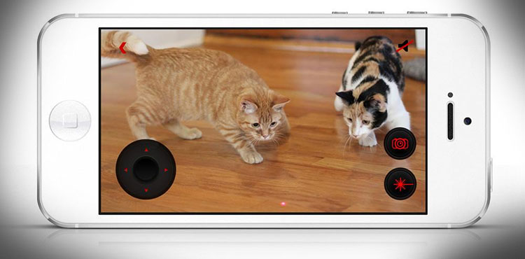 PetCube Play With Your Pet From Your Phone