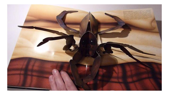 Pop-up Book of Phobias - Spiders