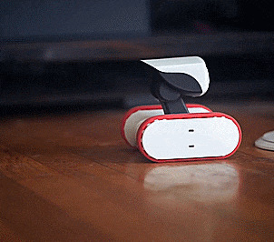 Riley Robot: Security Camera Robot You Pilot Around Your Home From Your