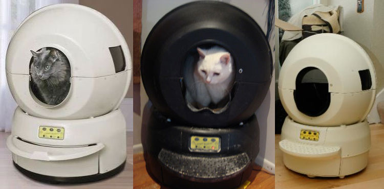 Self Cleaning Kitty Litter Robot