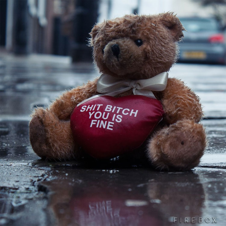 Shit Bitch You Is Fine Teddy Bear