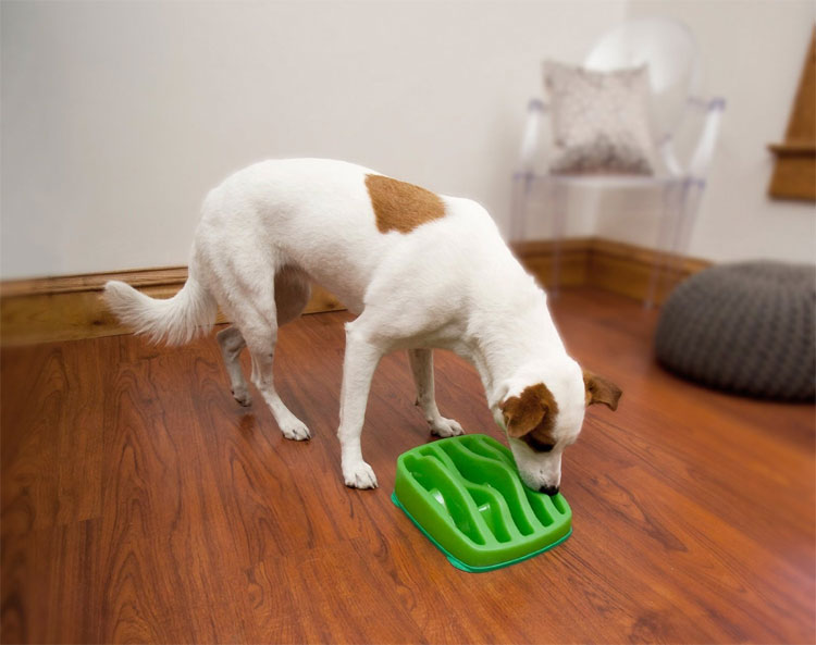 Slo-Bowl Dog Bowl For Slower Feeding