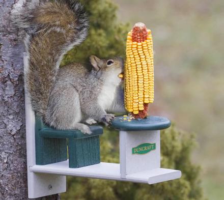Squirrel Table and Chair Lets Your Squirrels Eat With Class