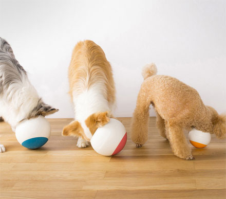 The Oppo Food Ball Slows Down Your Dogs Eating