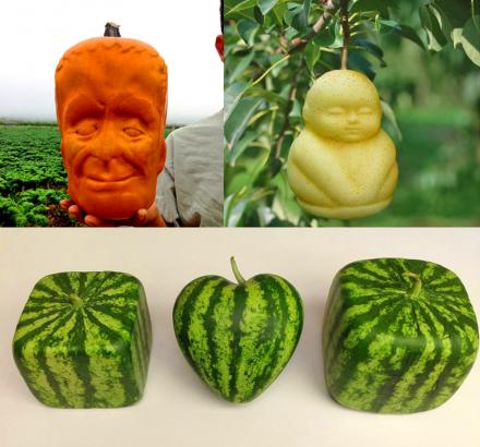 These Fruit Molds Let You Grow Fun Shaped Watermelons and Pumpkins