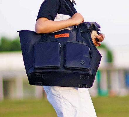 This Brilliant Pet Carrier Is Also A Stylish Purse
