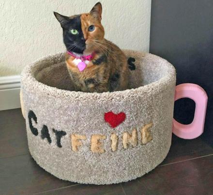This Catfeine Coffee Mug Cat Bed Is a Must For Coffee Loving Cat Owners