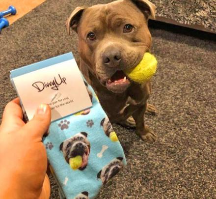 This Company Makes Socks With Your Pets Face On Them