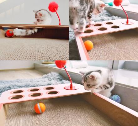 This Interactive Cat Board Game Has a Robotic Ball That Will Keep Them Busy For Hours