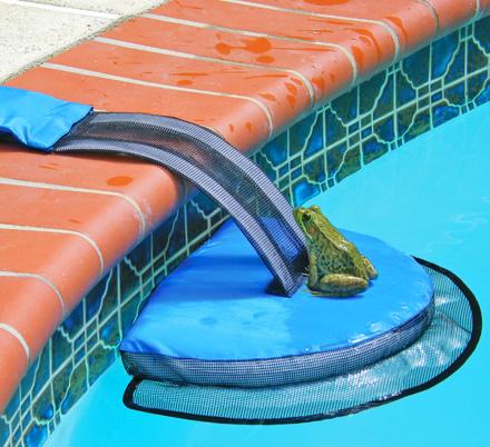 This Mini Pool Ramp Helps Frogs and Other Little Critters Get Safely Out Of Your Pool