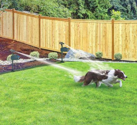 This Motion Activated Sprinkler Repeller Keeps Animals Out Of Your Garden