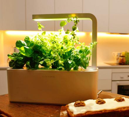 This Smart Herb Garden Starter Kit Makes Growing Your Own Herbs a Breeze