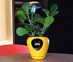This Smart Planter Will Monitor Your Indoor Plants, and It Acts Just Like a Tamagotchi Pet