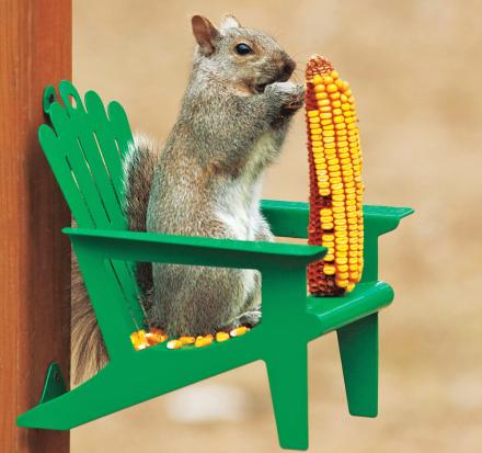 This Squirrel Chair Attaches To Your Tree