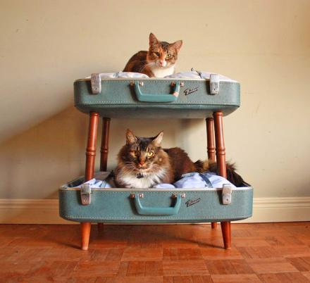 This Suitcase Cat Bunk Bed Is a Brilliant Way To Re-purpose Your Old Luggage